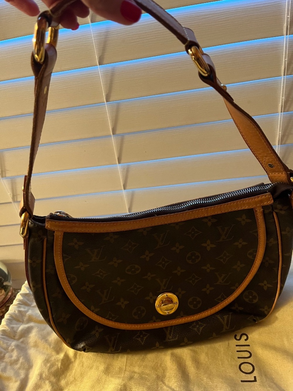 Vintage Louis Vuitton Handbag
